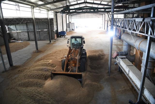 河南:千方百计抢粮食 齐心力战“烂场雨”