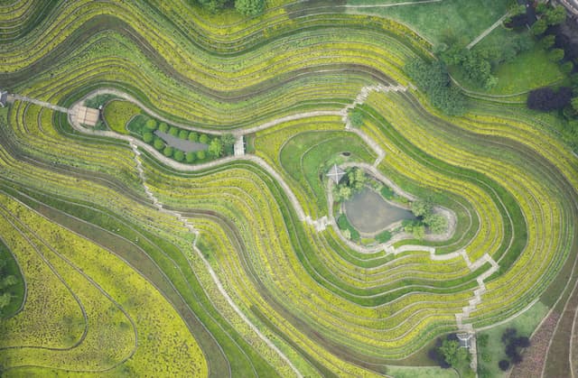 贵州大方：古彝梯田宛如“大地指纹”