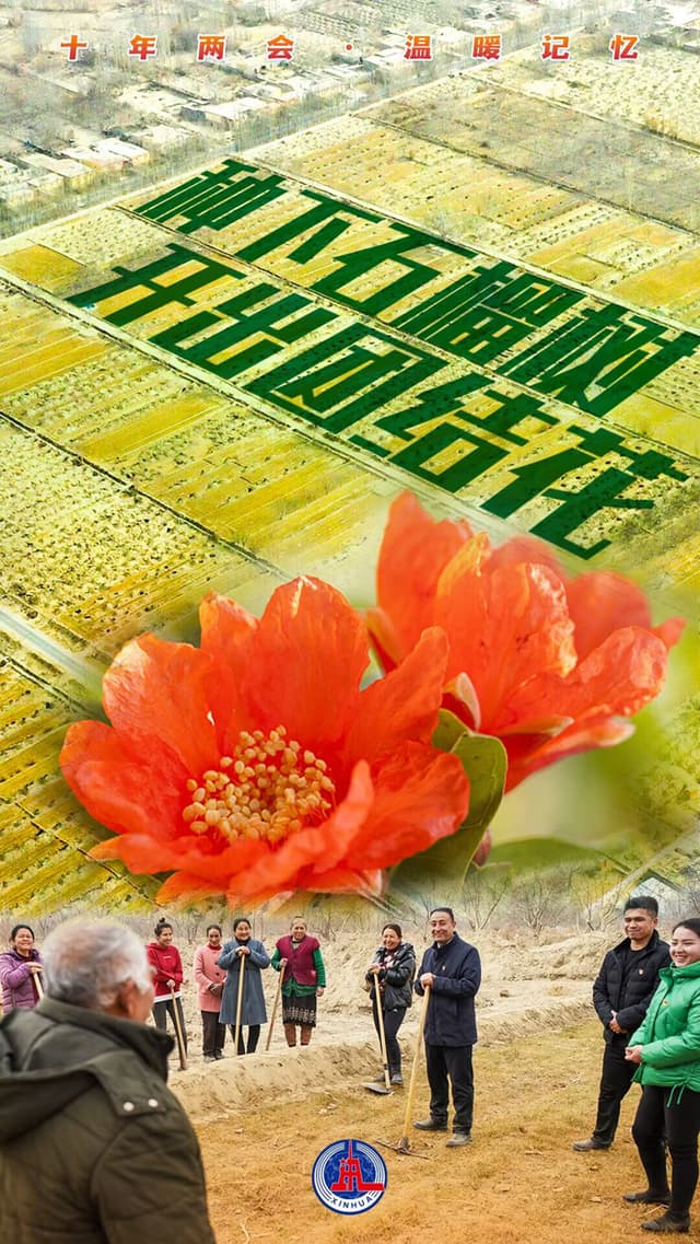 “这十年，总书记的两会关切”之二·砺初心