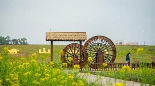 文化逆旅:乡村旅游为何越来越红火?