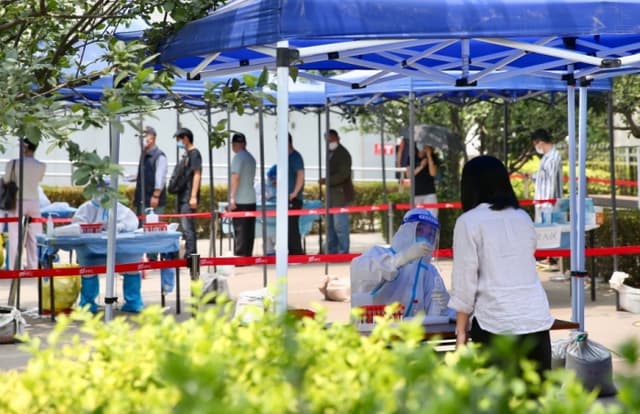 上海29日无新增本土确诊病例和本土无症状感染者