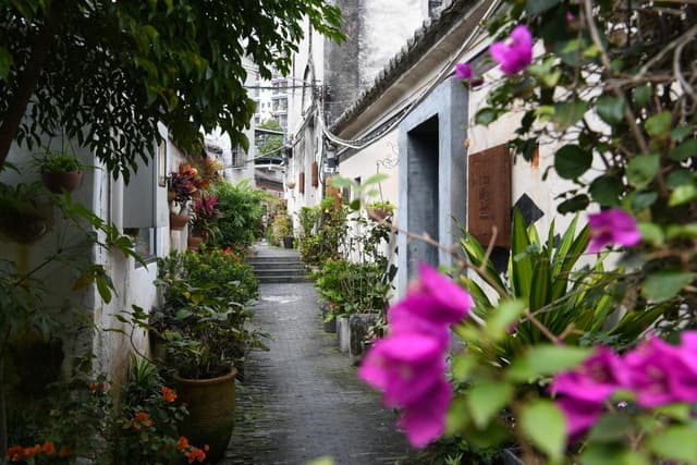 深圳上围村:闲置旧宅迎来不锁门的“新主人”