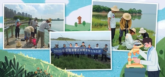 如候鸟群飞 这群大学生在守护长江生态