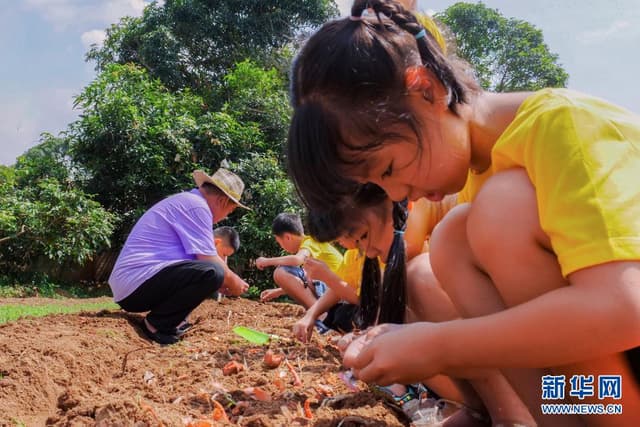 福建莆田：快乐暑假 印刻“乡愁”