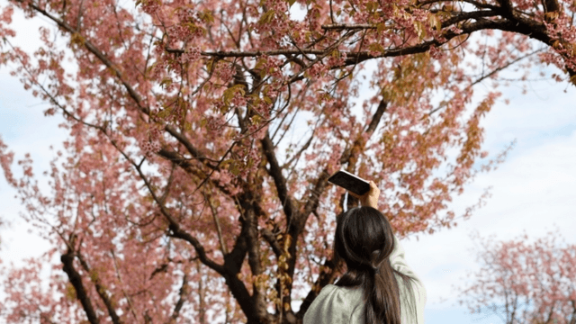 这个城市有点潮|昆明:“花花世界”迷人眼