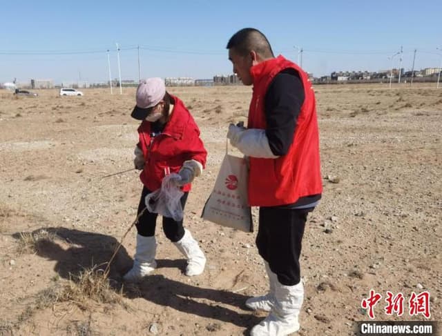 近4年全国确诊11例,鼠疫可怕吗?有哪些危害?