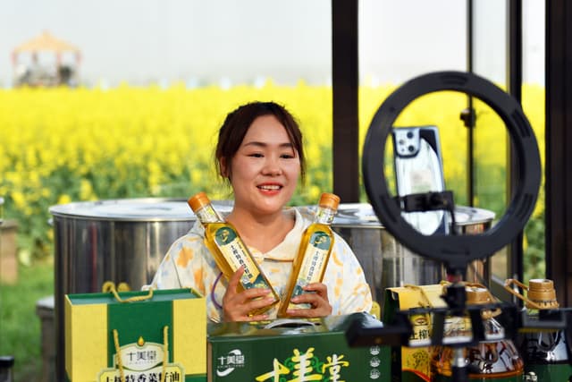 湖南常德:油菜花开迎客来