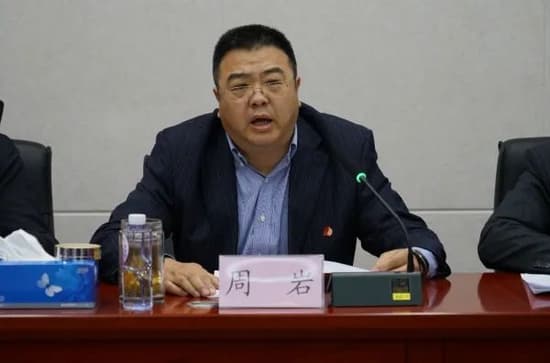 31岁晋升副局级,周岩今被双开