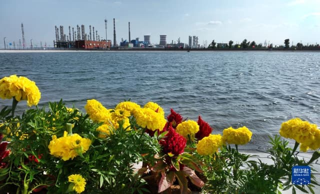 陕西榆阳:回收利用矿井疏干水 为当地生产生活疏解缺水之困