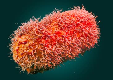 中国大陆猴痘病例已达10例,为何突然增多?