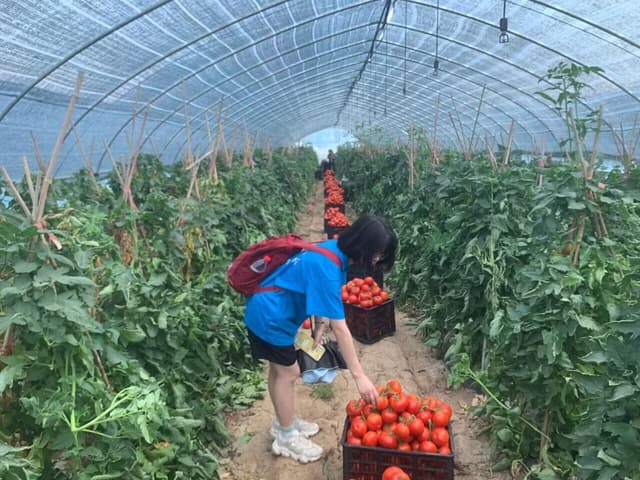 青春扎根乡土——安财学子开展三农发展实践活动