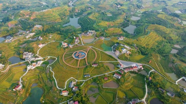 四川南溪:发展8万亩高粱订单种植 乡村振兴添活力