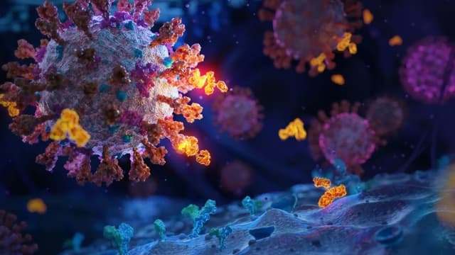 中国首个抗新冠病毒特效药获批上市,变异株疗效评估获最优数据