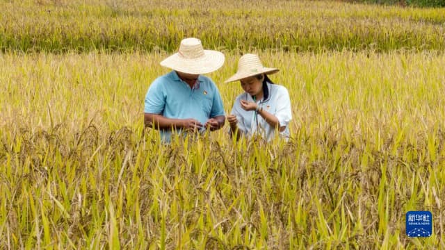 二十大代表在基层丨利远远:当好乡村振兴“领头雁”