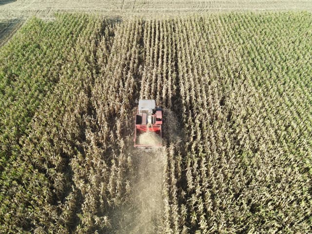 全国秋粮收获进行时:农户抢收忙 “丰”景美如画