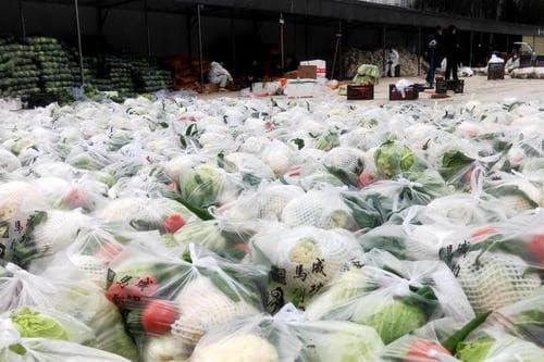 西宁应对疫情:蔬菜分级批发,热线回应疑问