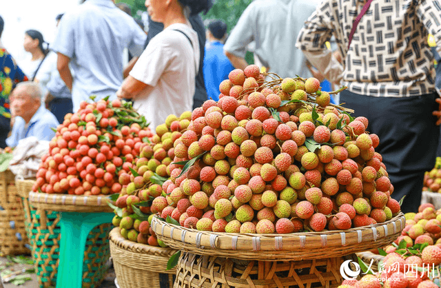 四川合江:荔枝迎丰收 果农忙交易