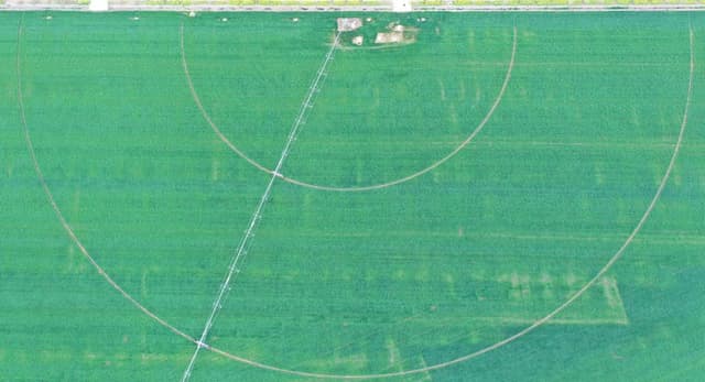 奋进新征程 建功新时代丨看,这片“超级农田”