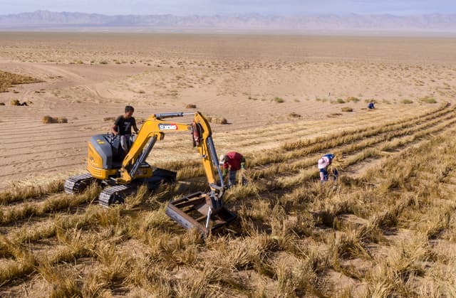 甘肃阿克塞:高原深处治沙忙