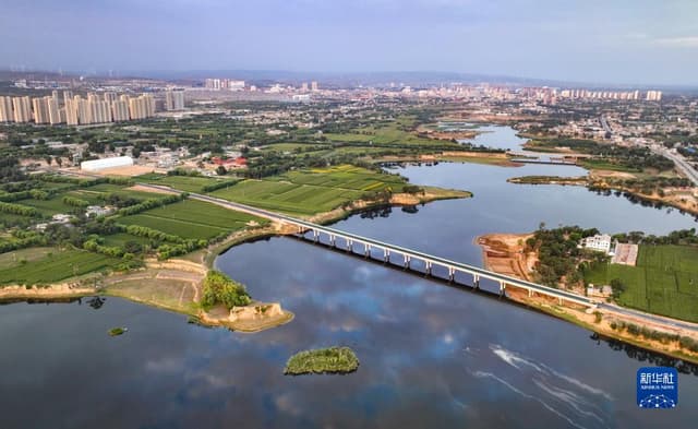 陕西靖边：芦河无声惜细流 树荫照水闻鸟语