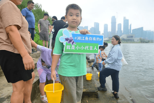 湖南长沙：科学养护湘江水生态，千尾土著鱼种花䱻放归自然