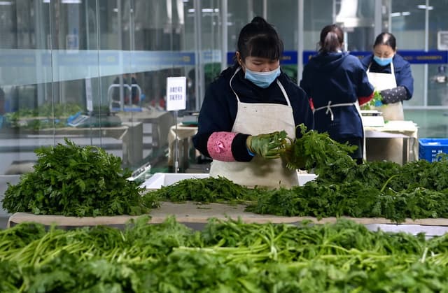 陕西西安:精益求精保障封控区蔬菜供给安全