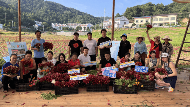 湖南长沙：十万支百合花 致敬星城守护者