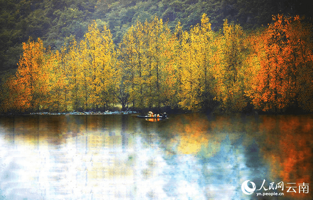 云南普者黑:山明水净 层林尽染 候鸟翩跹