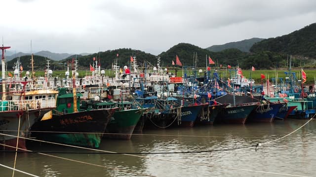 浙江象山:千帆归港避风静待“梅花”
