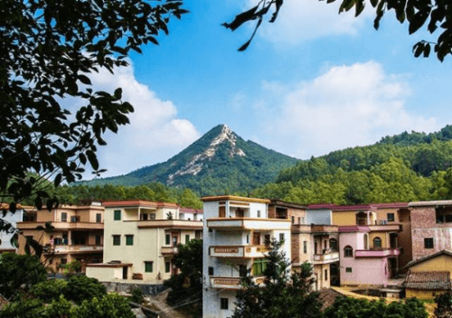 广东江门:“四部曲”奏响党建引领乡村振兴强音