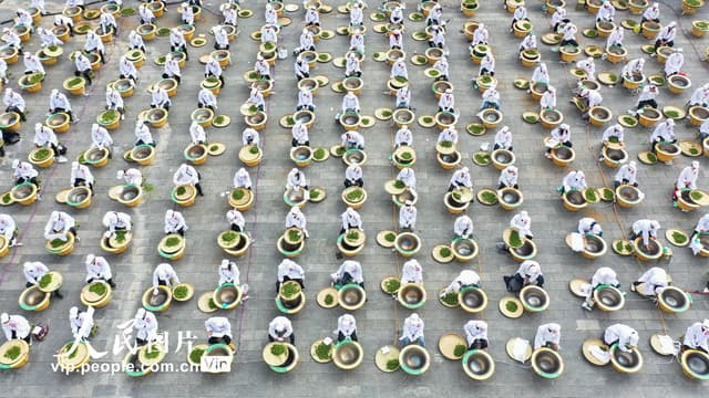 贵州晴隆:炒茶挑战拼技艺