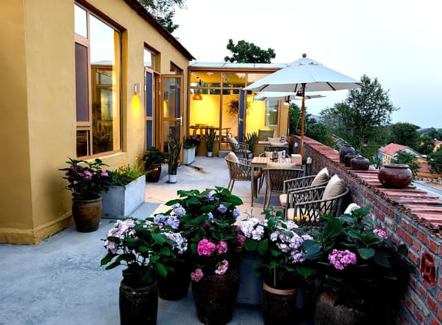 山东青州:“石头村”的艺术蝶变