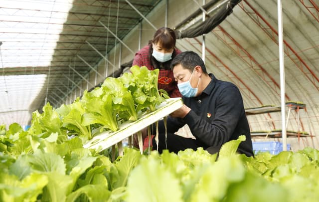 河北邢台:党建引领拓宽群众增收路