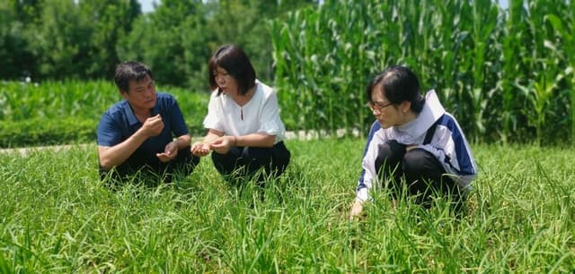 河北:开展灾后农业生产恢复工作