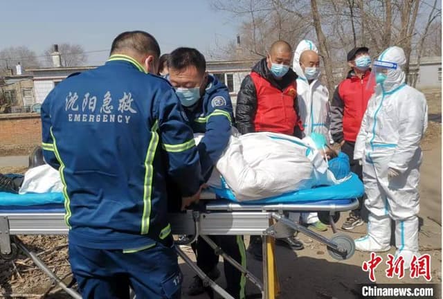 辽宁沈阳:大树倒下刹那 “90后”女孩儿舍身救了医生、保住了核酸样本